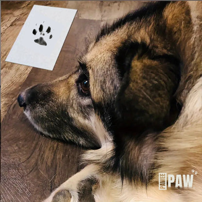 PaweePaw Print Kit(Wooden)