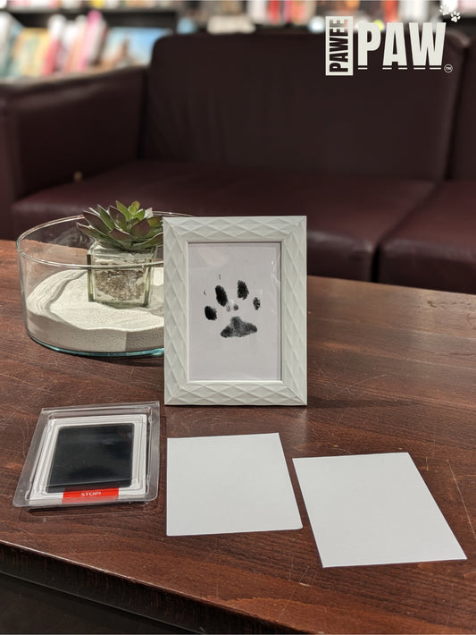 PaweePaw Print Kit(White)