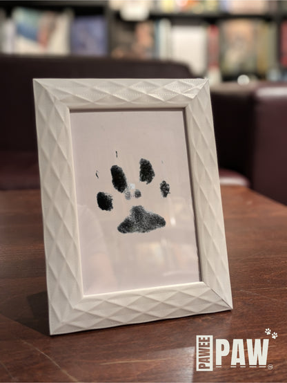 PaweePaw Print Kit(White)